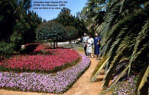 Oran- SDV- 4597- Pillon